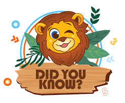 การแปลงทางเรขาคณิต